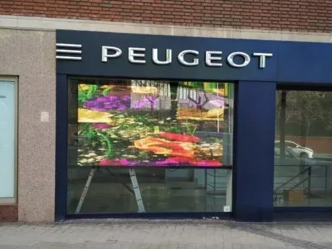 Pantalla Led 8 SMDe Peugeot Madrid