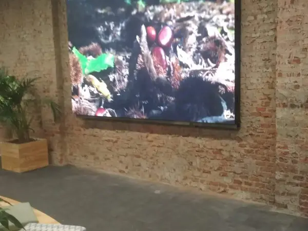 Pantalla led P3 interior Gobierno de España